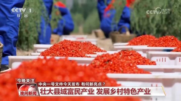 全面推进乡村振兴坚持吧_扎实推进乡村全面振兴_全面推进乡村振兴上