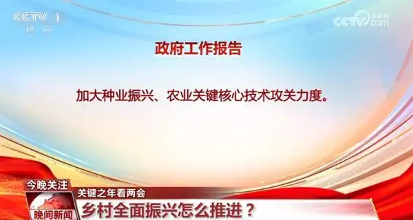 全面推进乡村振兴坚持吧_全面推进乡村振兴上_扎实推进乡村全面振兴