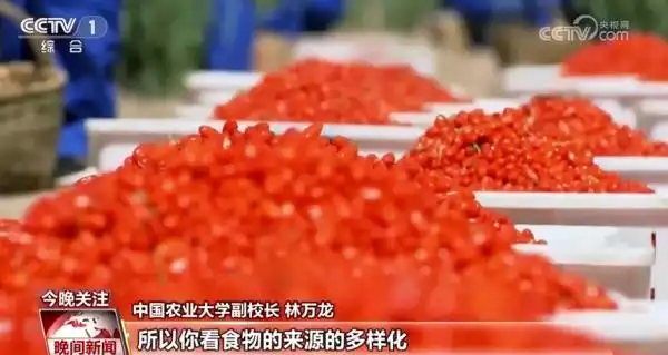 全面推进乡村振兴坚持吧_扎实推进乡村全面振兴_全面推进乡村振兴上