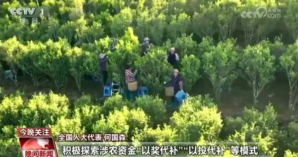 扎实推进乡村全面振兴_全面推进乡村振兴上_全面推进乡村振兴坚持吧