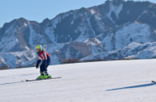 奚美娟连任上海文联主席_奚美娟连任上海文联主席_奚美娟连任上海文联主席