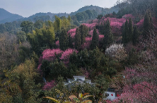 奚美娟连任上海文联主席_奚美娟连任上海文联主席_奚美娟连任上海文联主席