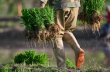 奚美娟连任上海文联主席_奚美娟连任上海文联主席_奚美娟连任上海文联主席