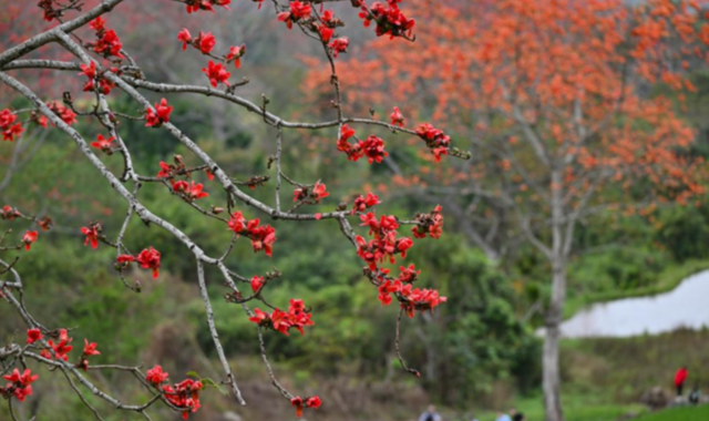 奚美娟连任上海文联主席_奚美娟连任上海文联主席_奚美娟连任上海文联主席