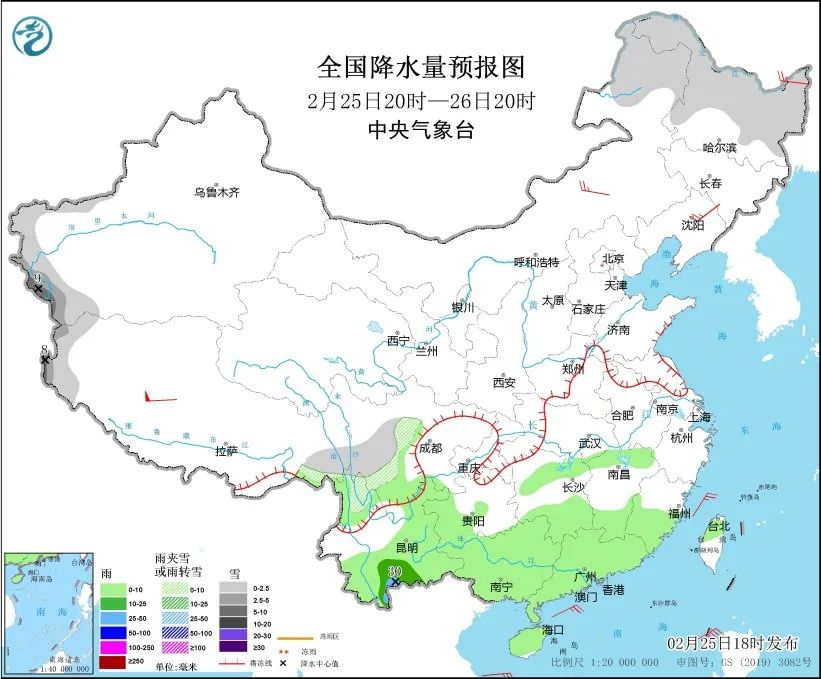 大蒜加咖啡什么意思_大蒜也没想到自己成了咖啡搭子_大蒜和咖啡的故事