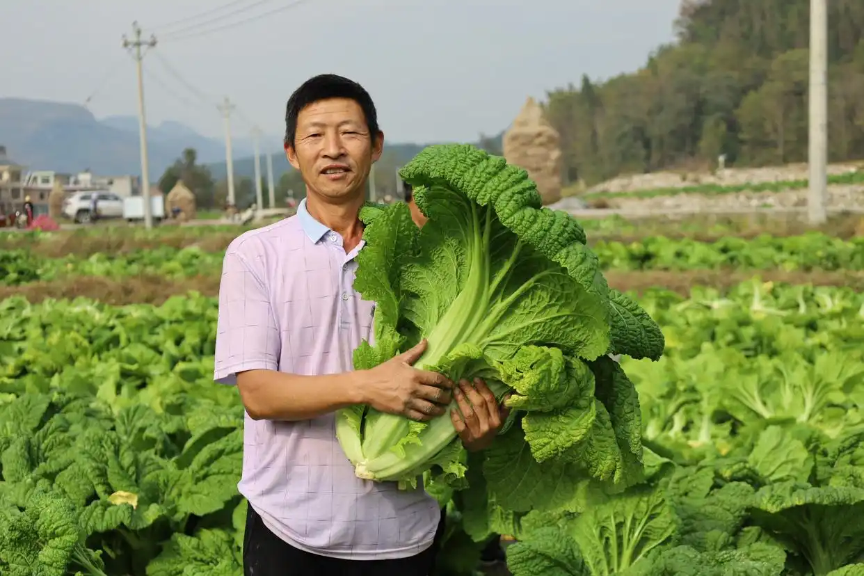 老百姓的事就是大事_为老百姓办实事做好事解难事_把老百姓身边的大事小情解决好