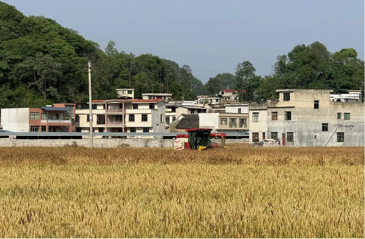 老百姓的事就是大事_为老百姓办实事做好事解难事_把老百姓身边的大事小情解决好