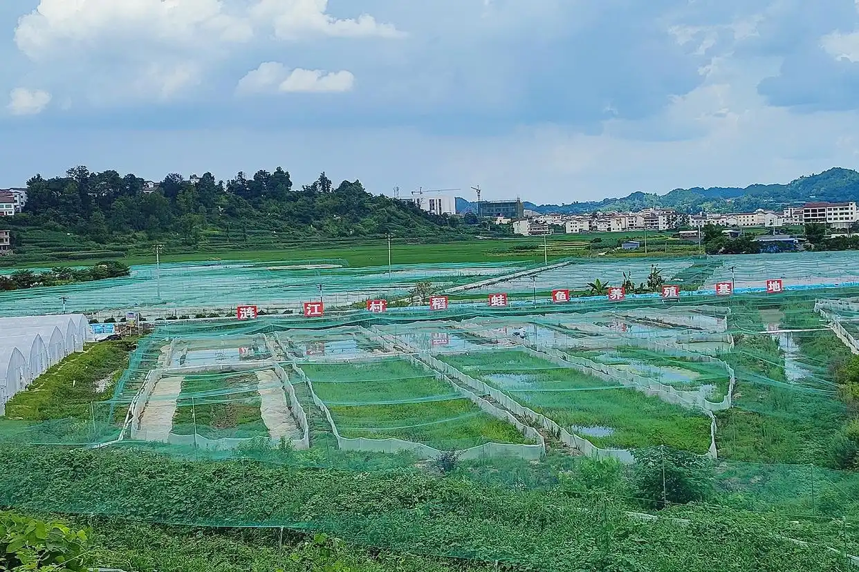 为老百姓办实事做好事解难事_把老百姓身边的大事小情解决好_老百姓的事就是大事