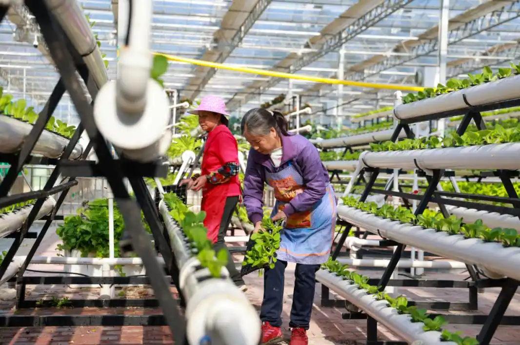 不负春时农桑忙_少年负志气信道不从时_农桑辑要里的立国之本