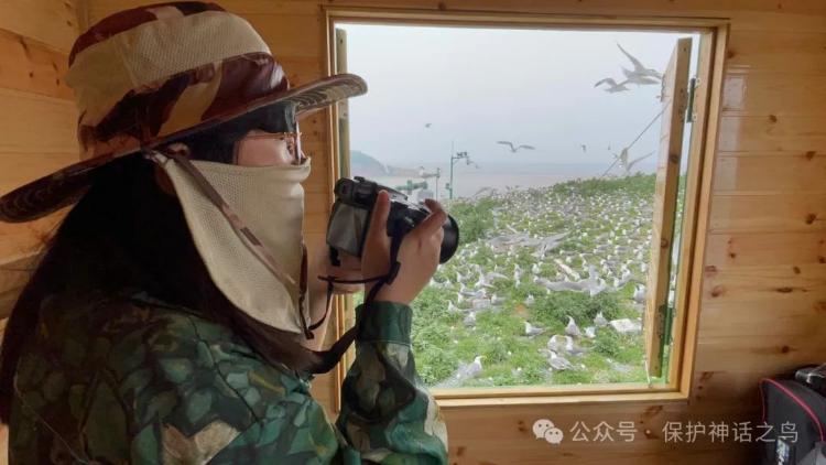 浙江300一天招守鸟人 住海岛有网络_守海岛一般有几个人_浙江守岛人招聘