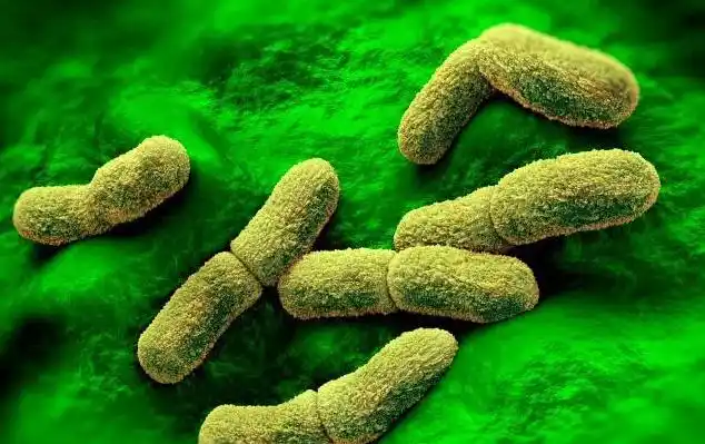 千万不要学哪吒戳鼠鼠鼻子_千万不要学哪吒戳鼠鼠鼻子_千万不要学哪吒戳鼠鼠鼻子