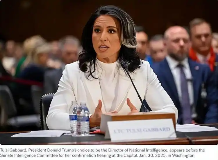 美上百名情报人员因色情聊天被解雇_眉山情报科人员_名侦探柯南漫画1047话情报