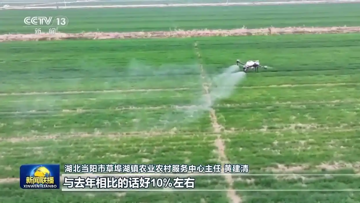 田间春管“科技范儿”十足_田间春管“科技范儿”十足_田间春管“科技范儿”十足