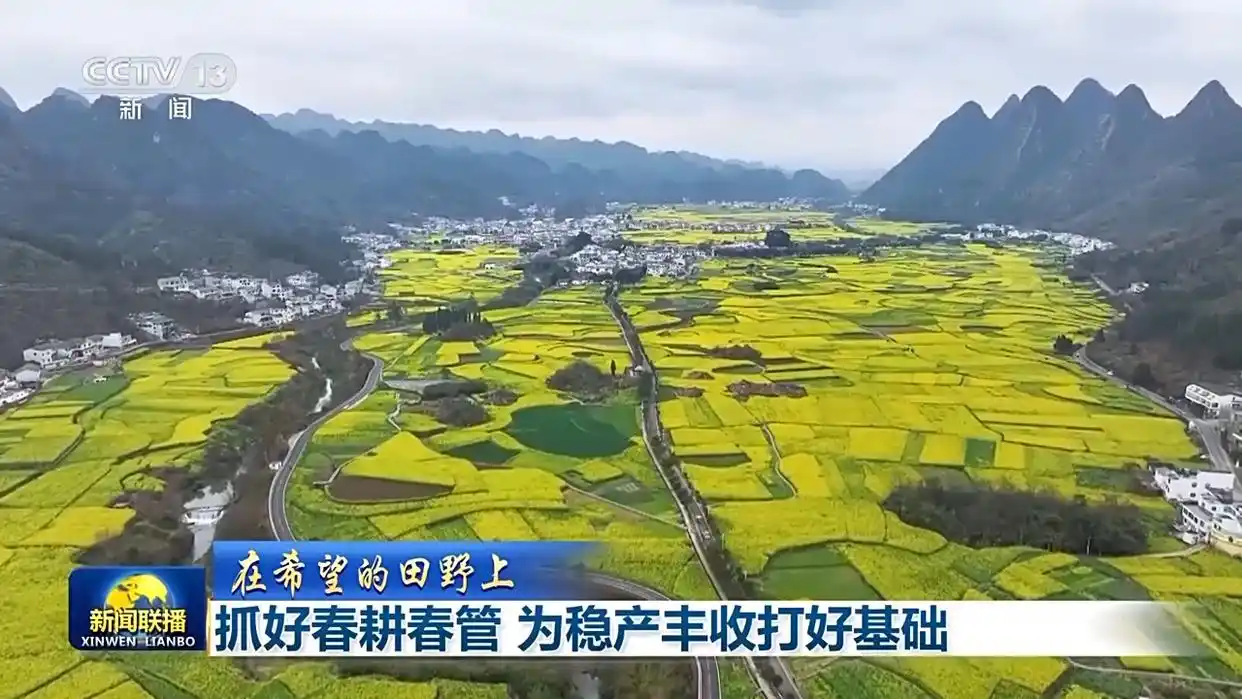 田间春管“科技范儿”十足_田间春管“科技范儿”十足_田间春管“科技范儿”十足