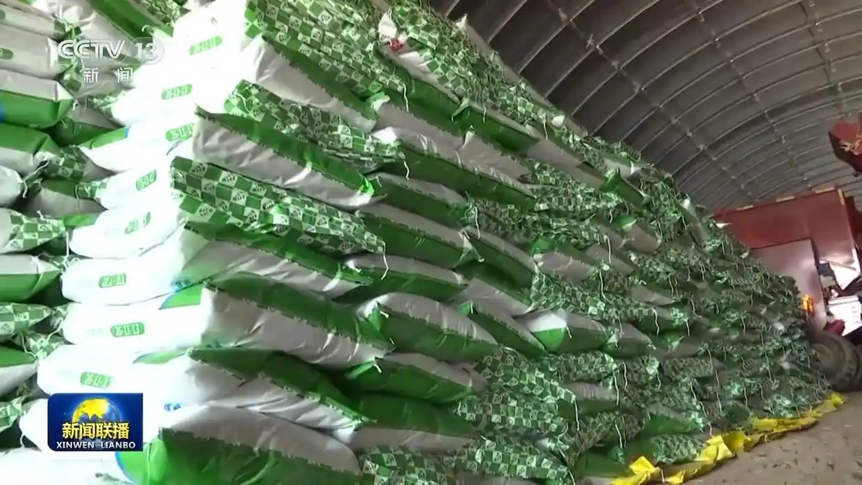 田间春管“科技范儿”十足_田间春管“科技范儿”十足_田间春管“科技范儿”十足