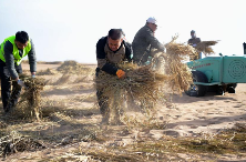 运油20在云端穿针引线_运油20在云端穿针引线_运油20在云端穿针引线