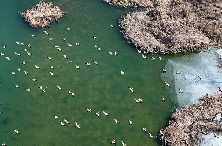 运油20在云端穿针引线_运油20在云端穿针引线_运油20在云端穿针引线