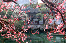 运油20在云端穿针引线_运油20在云端穿针引线_运油20在云端穿针引线