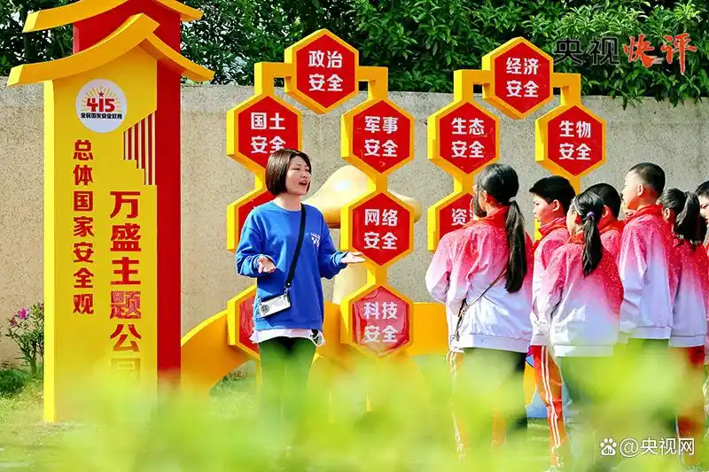 坚定不移贯彻总体国家安全观_认真贯彻国家总体安全观_贯彻国家总体安全观思想