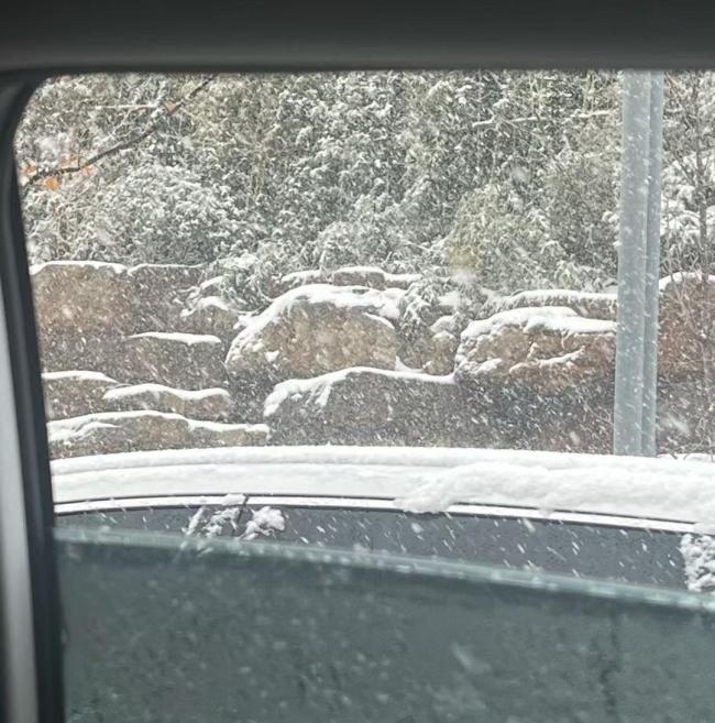 济南暴雪里扎堆冒出“推车侠”