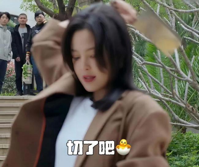 《仁心俱乐部》医疗喜剧全是梗