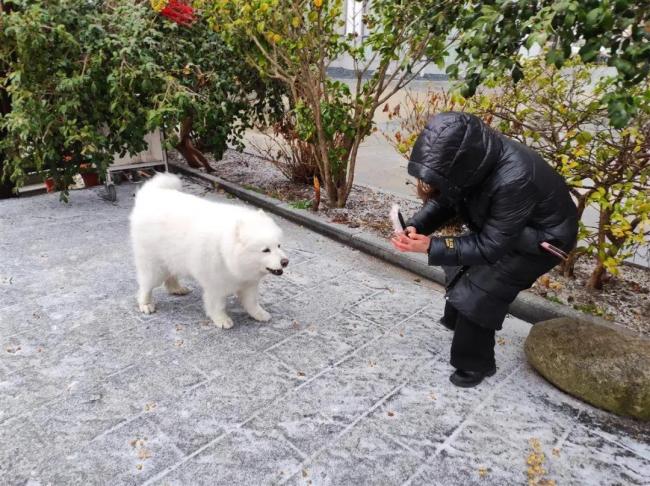 武汉下雪了 网友:单衣换羽绒服 一夜入冬气温骤降20℃