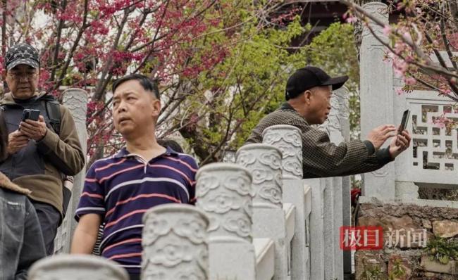 武汉下雪了 网友:单衣换羽绒服 一夜入冬气温骤降20℃