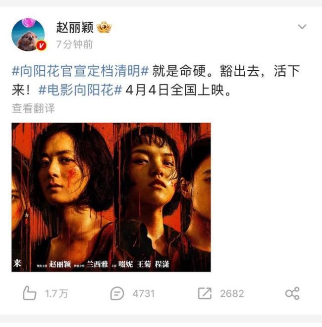 赵丽颖新片饰演刑满释放女子