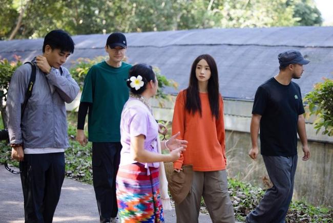 胡歌开了家昆虫酒店 为传粉昆虫安家