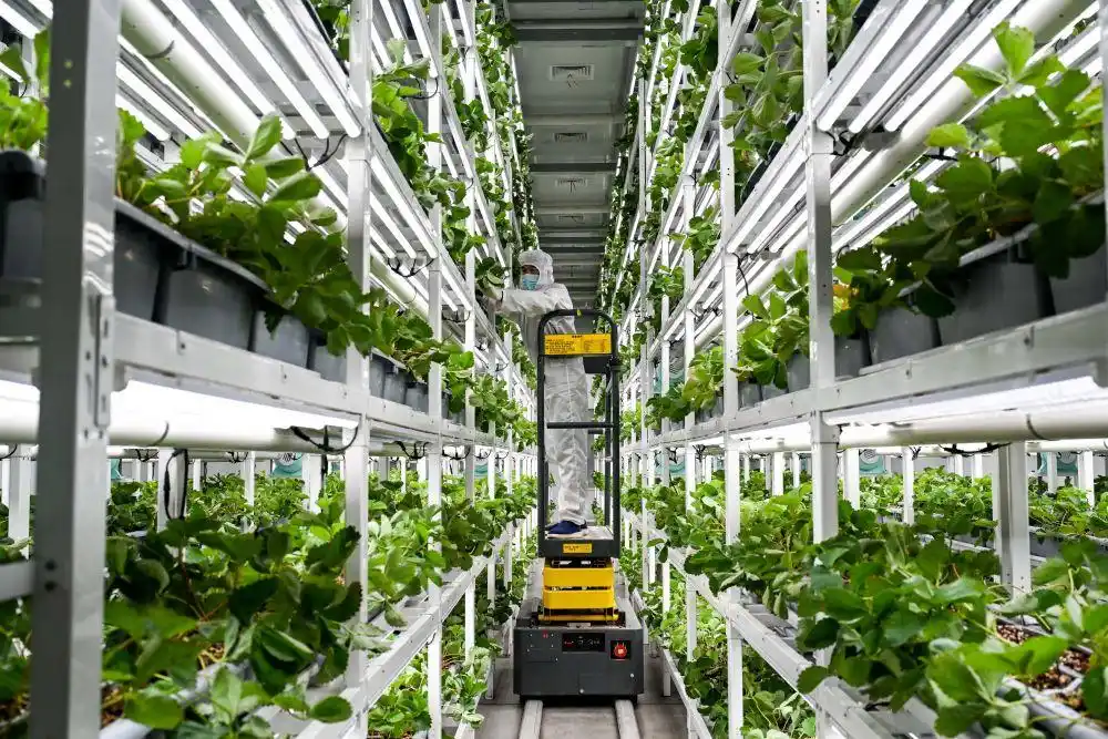 向着中国式现代化奋力进发_中国进行现代化转型_现代化进程是什么意思