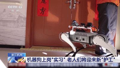 机器狗的技能值已经拉满了