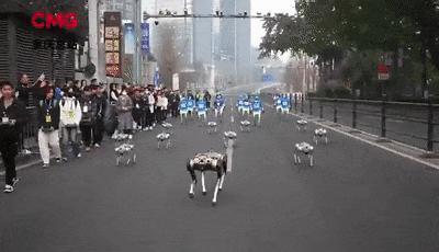 机器狗的技能值已经拉满了 解锁新技能与应用