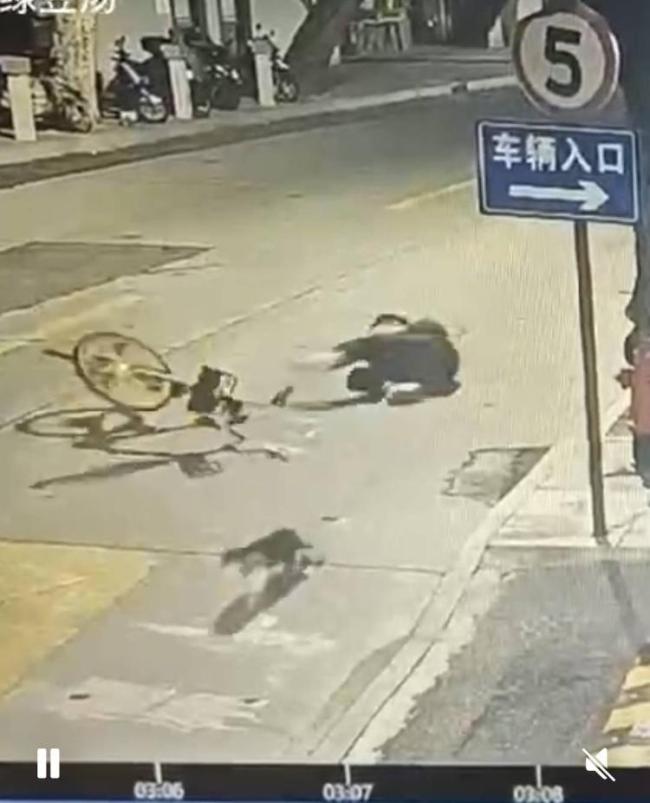 小伙骑车上班与猫咪相撞后摔伤 责任归属引热议