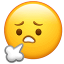 心脏破洞会有什么症状_4岁男孩心脏上破了5个“洞”_心脏破洞会越来越大吗